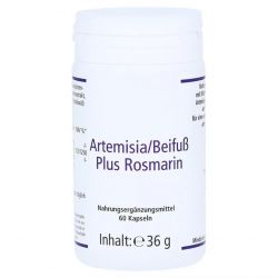 Артемизинин 392 мг капс. 60шт в Ижевске и области фото